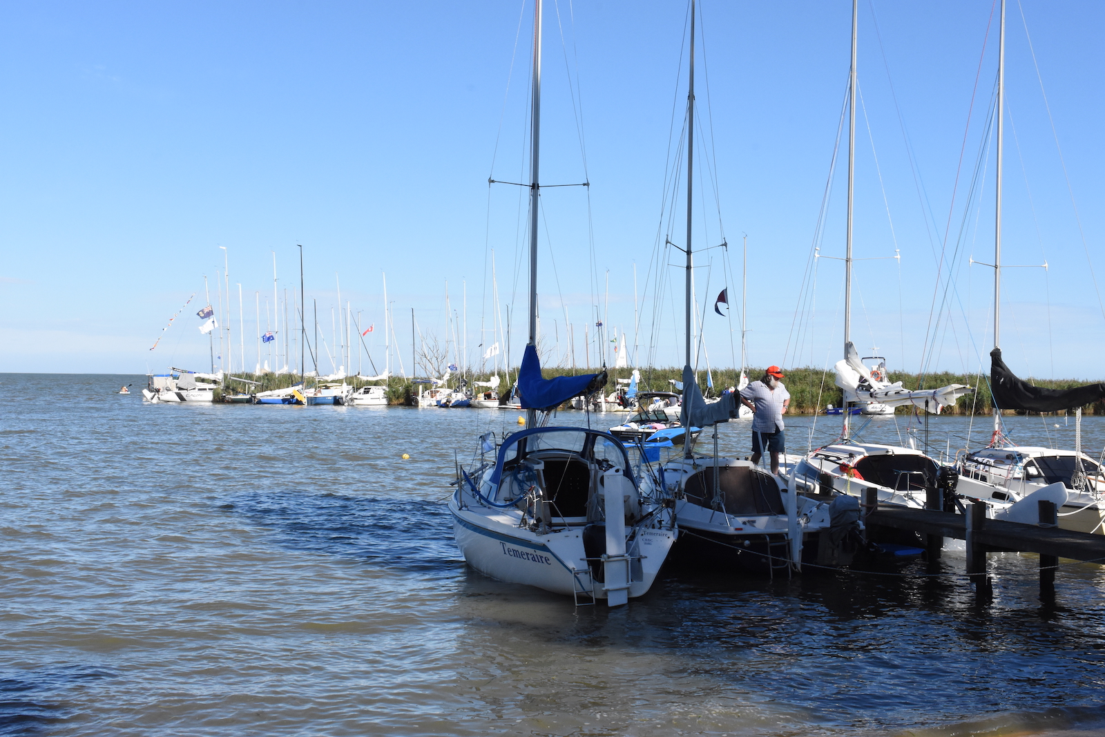 Delivery day sets the scene for the big race | Goolwa Regatta Week