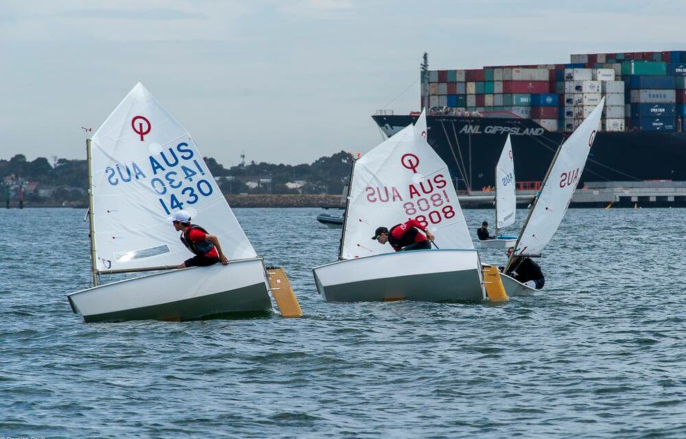 Optimist States hosted by Royal Yacht Club of Victoria a huge success